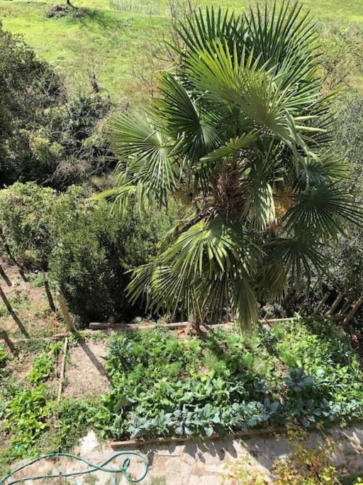 Ca' Cuore In Monferrato Serralunga di Crea Esterno foto