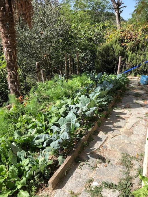 Ca' Cuore In Monferrato Serralunga di Crea Esterno foto